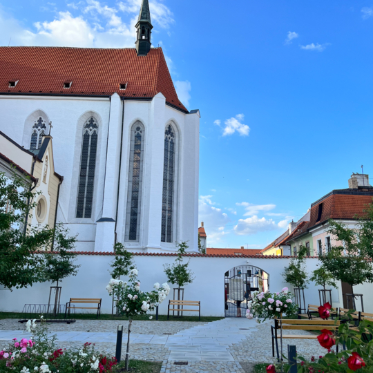 Program akademie